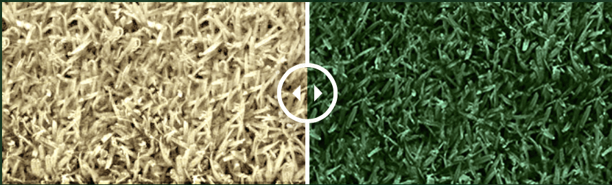 Turf Pigment