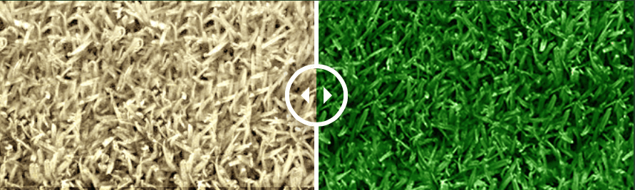 Turf Pigment - Endurant Turf Pigment