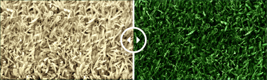 Turf Pigment